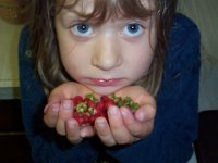 Poor Girl Selling Wild Berries